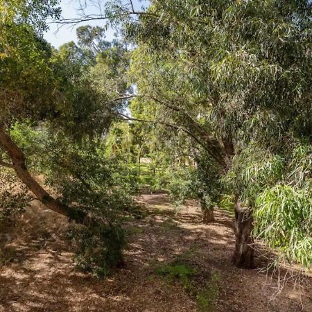 Central 1Br Oasis, Fast Fiber Wifi, Free Parking, Free Netflix With Shelter Haifa Exterior photo